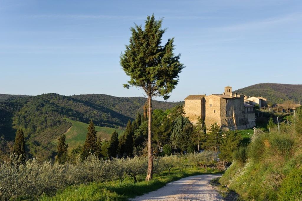 Umbria Nel Cuore Cannara Exterior foto